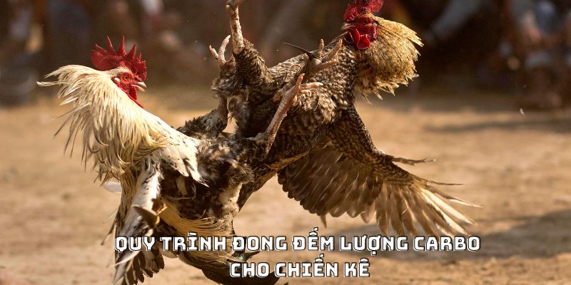 Quy trình đong đếm lượng carbo cho chiến kê