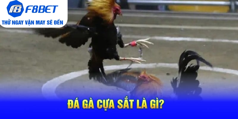 Đá Gà Cựa Sắt Là Gì?