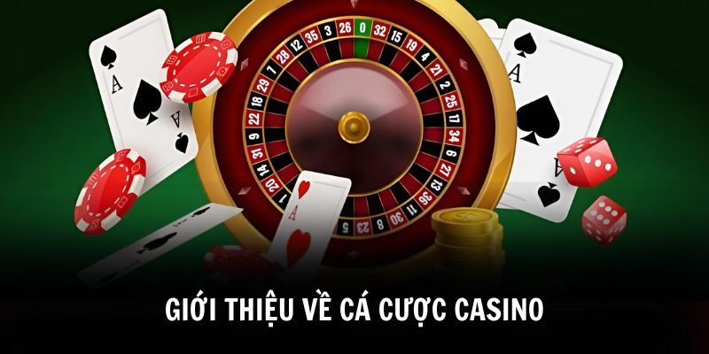 Giới thiệu về cá cược casino